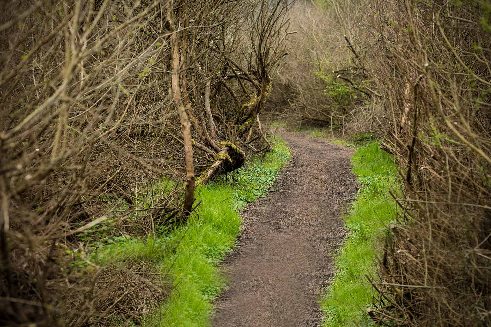 3-Bodensee-Peter-Eilichmann