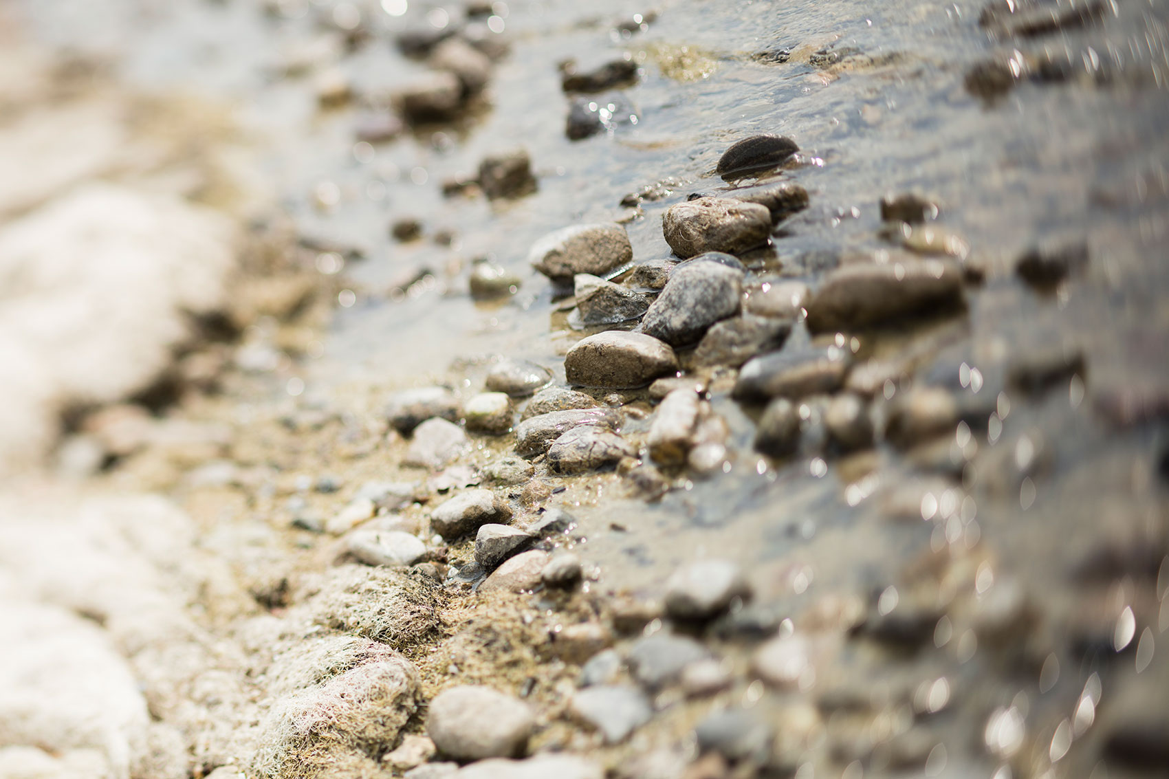 4-Bodensee-Peter-Eilichmann