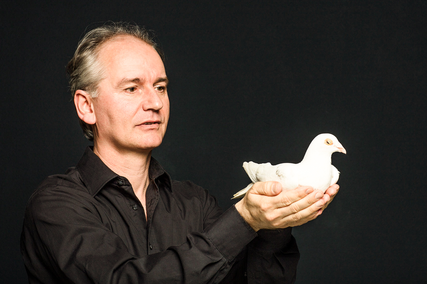 1-Taube-Eilichmann-HP