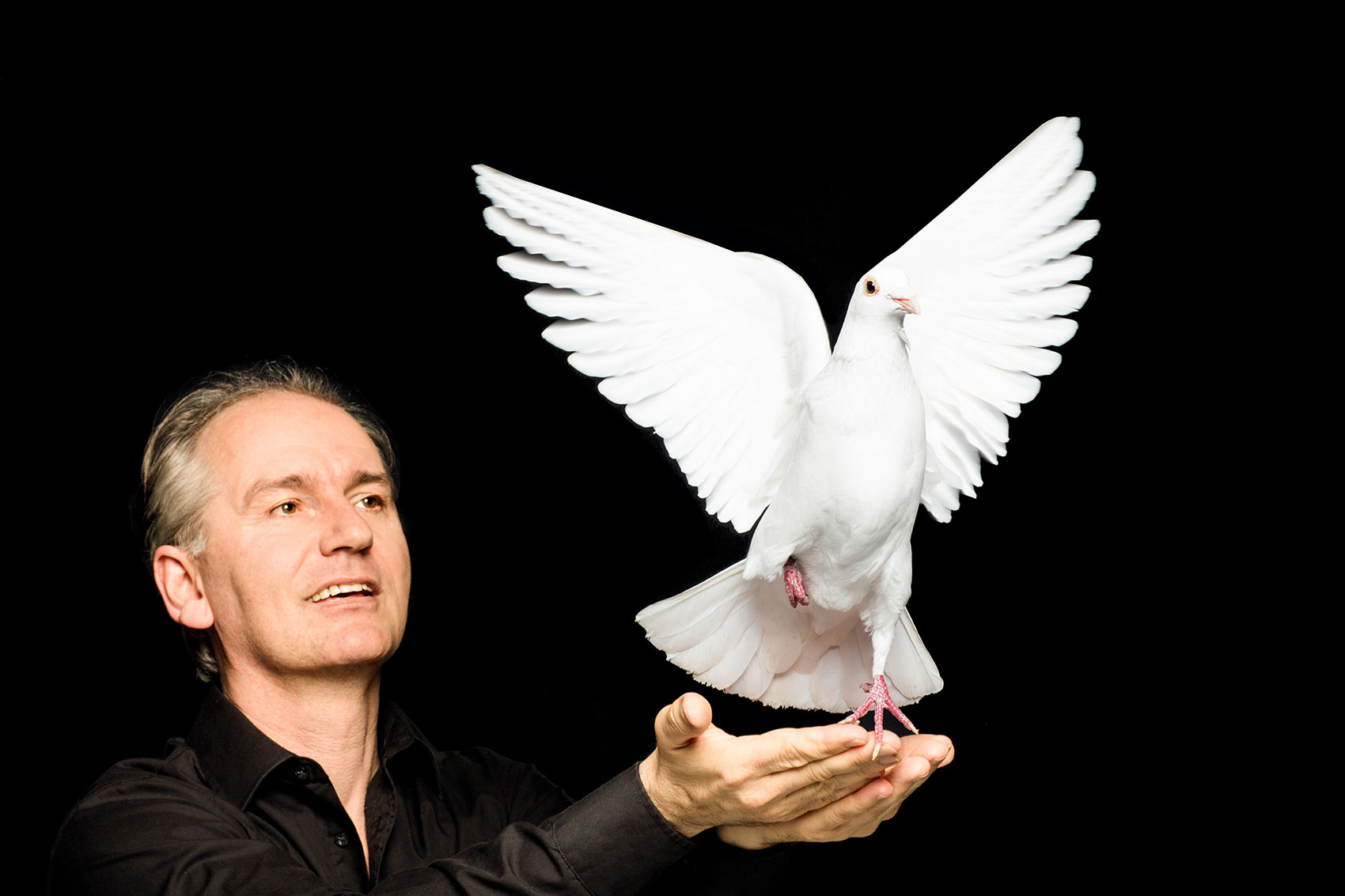 2-Taube-Eilichmann-HP