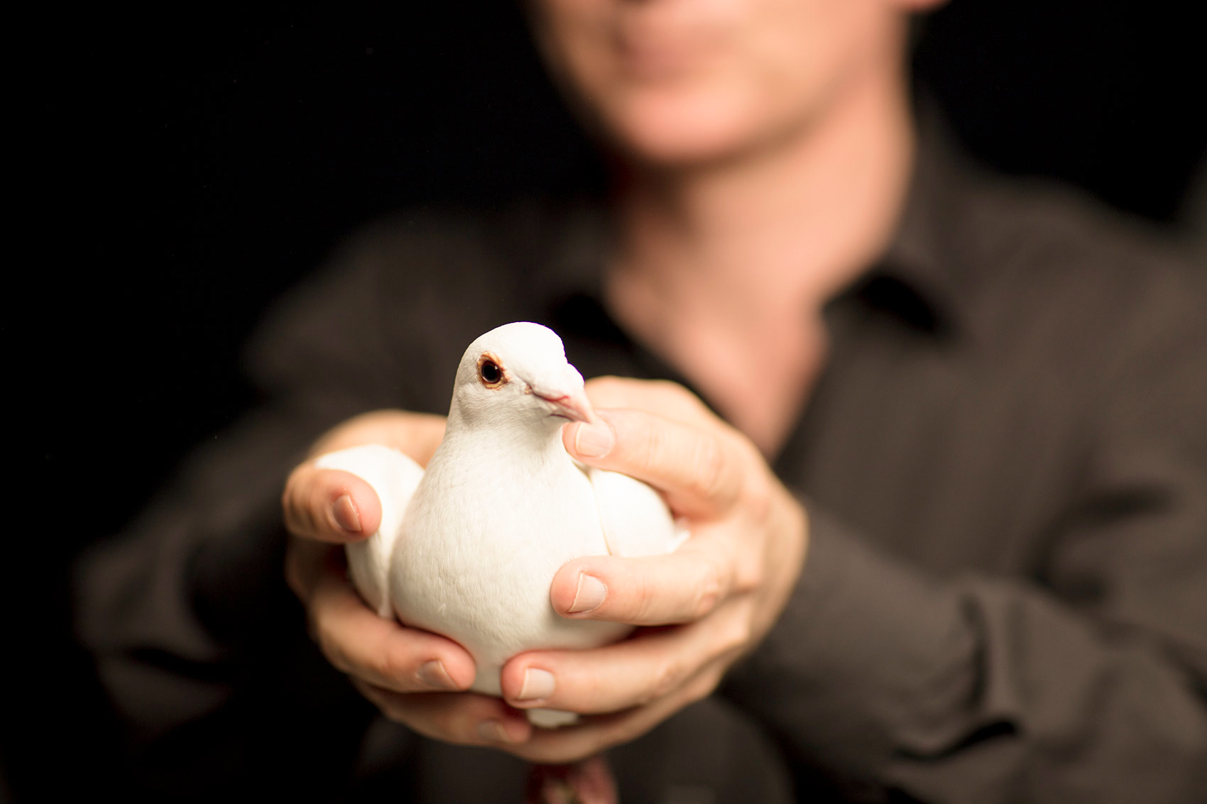 5-Taube-Eilichmann-HP