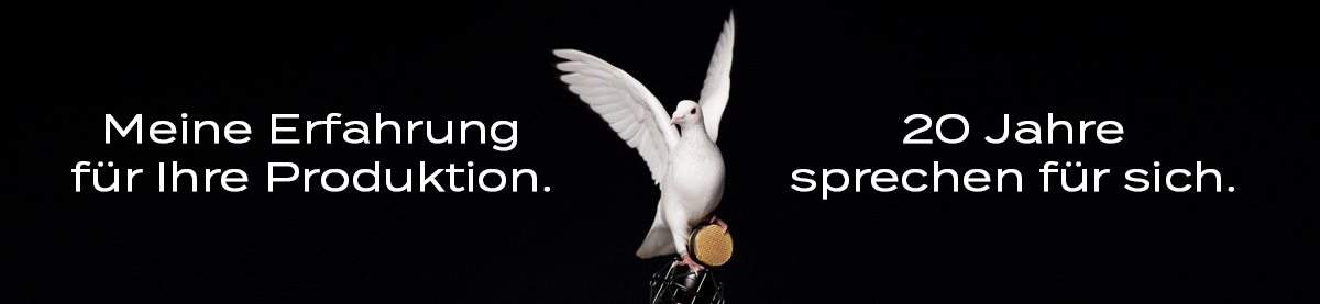 banner sprachaufnahmen